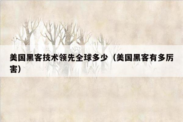 美国黑客技术领先全球多少（美国黑客有多厉害）