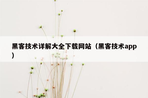 黑客技术详解大全下载网站（黑客技术app）