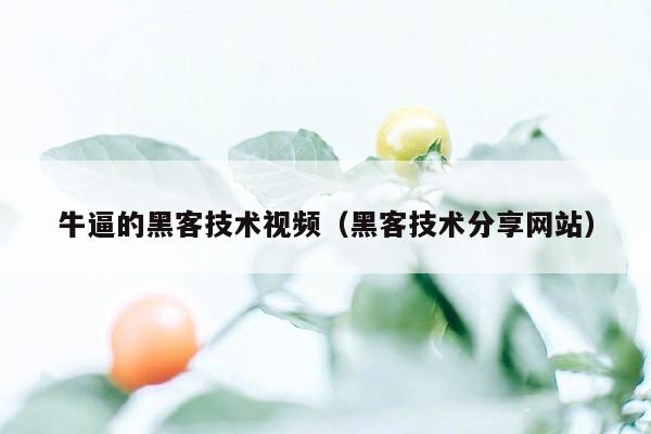 牛逼的黑客技术视频（黑客技术分享网站）