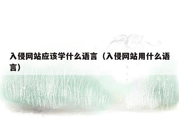 入侵网站应该学什么语言（入侵网站用什么语言）