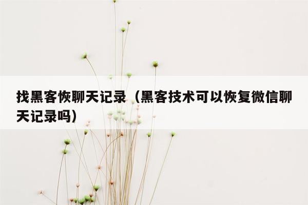 找黑客恢聊天记录（黑客技术可以恢复微信聊天记录吗）