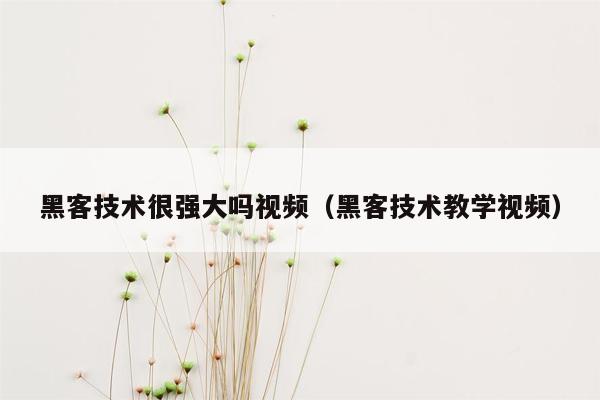 黑客技术很强大吗视频（黑客技术教学视频）