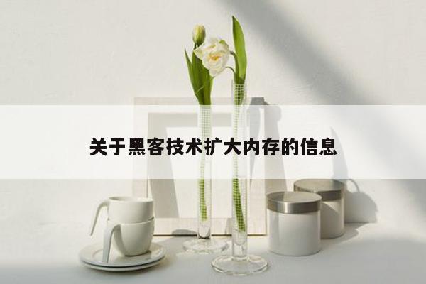 关于黑客技术扩大内存的信息