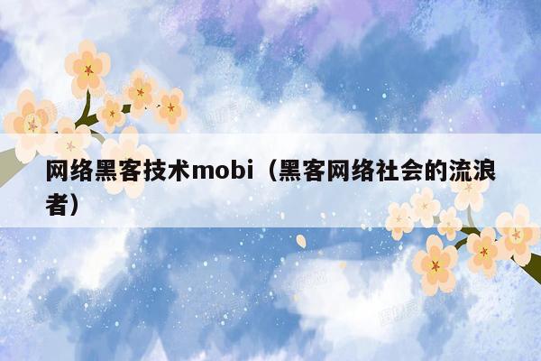 网络黑客技术mobi（黑客网络社会的流浪者）