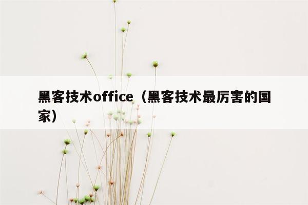 黑客技术office（黑客技术最厉害的国家）