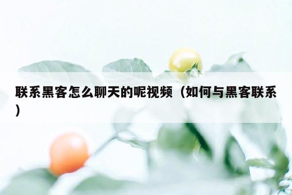 联系黑客怎么聊天的呢视频（如何与黑客联系）