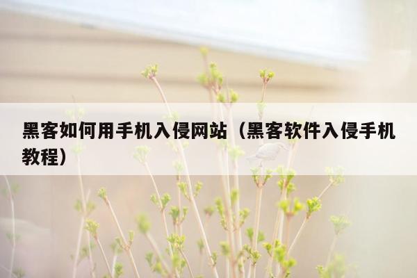 黑客如何用手机入侵网站（黑客软件入侵手机教程）