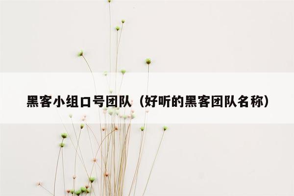 黑客小组口号团队（好听的黑客团队名称）