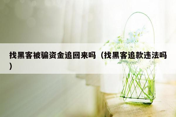 找黑客被骗资金追回来吗（找黑客追款违法吗）