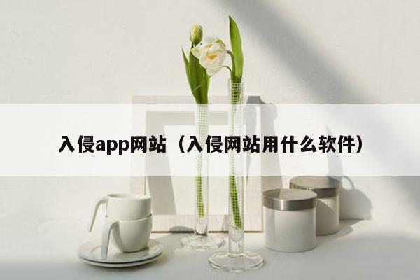 入侵app网站（入侵网站用什么软件）